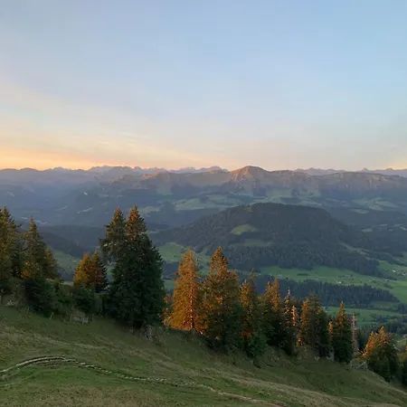 Schloss 28 *