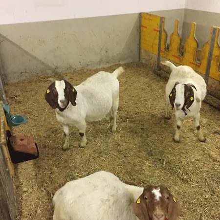 Schloss 28 Διαμέρισμα Hittisau