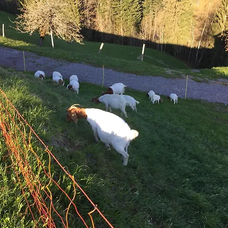 Διαμέρισμα Schloss 28