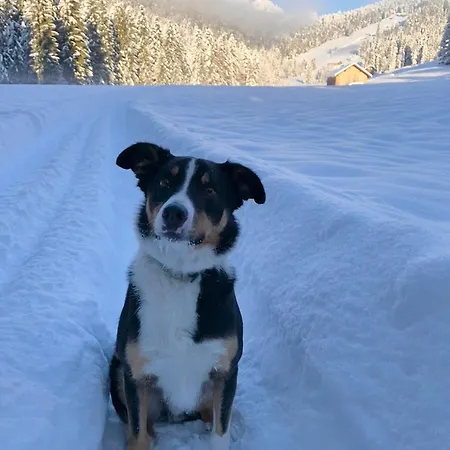 Schloss 28 Διαμέρισμα Hittisau